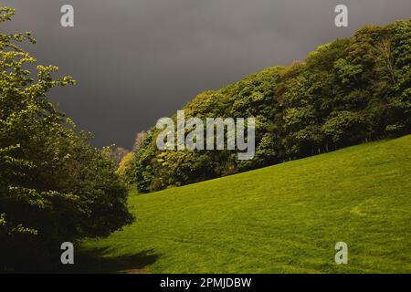 Beautiful landscape before thunderstorm and rain Stock Photo