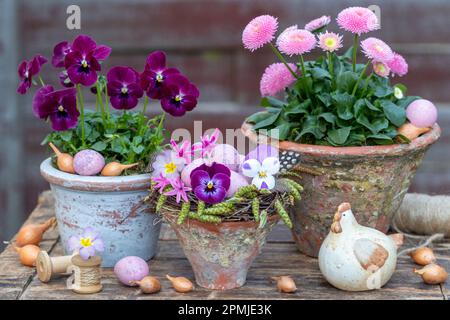 easter arrangement with easter nest and pink spring flowers in vintage terracotta pots Stock Photo