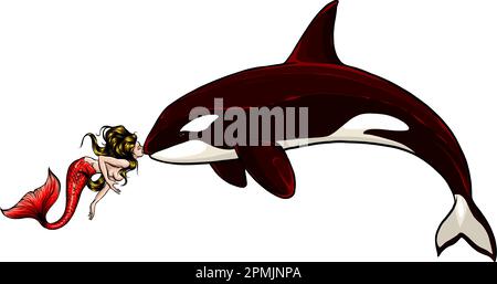 vector illustration of Beauty cute mermaid with an orca on white background. Stock Vector
