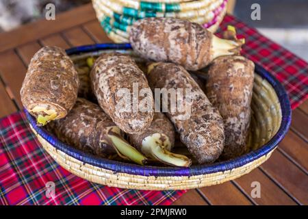Kolokasi is a Cypriot specialty. The vegetable resembles a mixture of potato and Jerusalem artichoke. It is cut into cubes and served cooked. Women's Cooperative (GI-KA KOOP) in the Old Railway Station of Nicosia, Cyprus Stock Photo