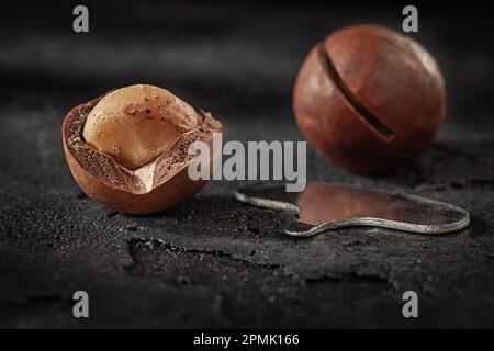 Opened Macadamia Nut On Dark Black Slate Sotone Surface Stock Photo