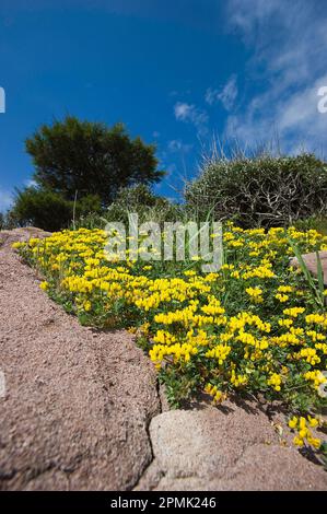 Porto Ferro, SS, Sardegna. Italy Stock Photo