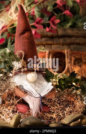 Gnome with a long white beard, glasses sitting, and plaid rimmed maroon hat in his garden in front of his home reading a book in spring, summer, fall Stock Photo