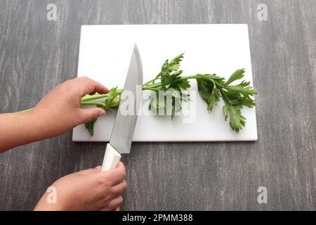 Fresh, green and rough celery on a kitchen table on a chopping board with knife ready to make a nutritious salad or juice Stock Photo