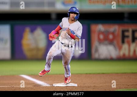 Dunedin Blue Jays shortstop Manuel Beltre (7) during an MiLB Florida State  League baseball game against the Tampa Tarpons on April 13, 2023 at TD  Ballpark in Dunedin, Florida. (Mike Janes/Four Seam