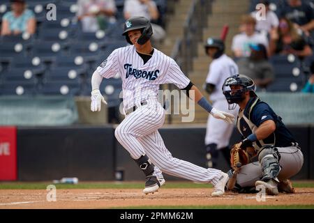 Tampa Tarpons Nelson Medina (3) hits a single during an MiLB Florida ...