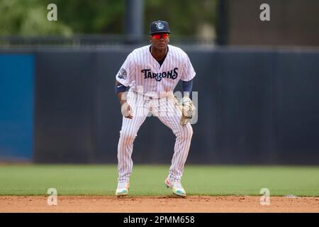 Tampa Tarpons Dayro Perez (27) bats during an MiLB Florida State