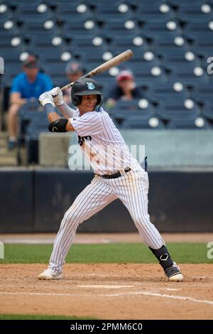 Tampa Tarpons outfielder Nelson Medina (3) during an MiLB Florida State  League baseball game against the Lakeland Flying Tigers on April 9, 2023 at  George M. Steinbrenner Field in Tampa, Florida. (Mike