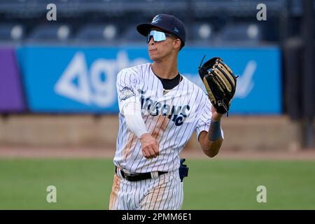 Tampa Tarpons Felix Negueis (29) bats during an MiLB Florida State League  baseball game against the Lakeland Flying Tigers on April 9, 2023 at George  M. Steinbrenner Field in Tampa, Florida. (Mike