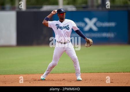 Tampa Tarpons shortstop Dayro Perez (27) during an MiLB Florida State  League baseball game against the Dunedin Blue Jays on April 13, 2023 at TD  Ballpark in Dunedin, Florida. (Mike Janes/Four Seam