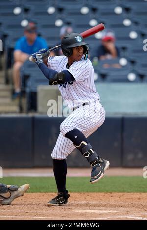 Tampa Tarpons outfielder Nelson Medina (3) during an MiLB Florida State  League baseball game against the Lakeland Flying Tigers on April 9, 2023 at  George M. Steinbrenner Field in Tampa, Florida. (Mike