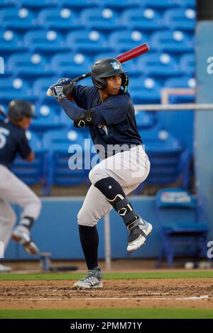 Tampa Tarpons Alan Mejia (12) talks with manager Rachel Balkovec (2) during  an MiLB Florida State League baseball game against the Lakeland Flying  Tigers on April 9, 2023 at George M. Steinbrenner