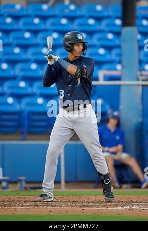 Tampa Tarpons Nelson Medina (3) hits a single during an MiLB Florida State  League baseball game against the Lakeland Flying Tigers on April 9, 2023 at  George M. Steinbrenner Field in Tampa