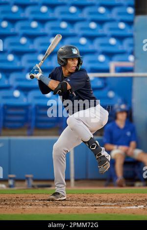 Tampa Tarpons Nelson Medina (3) hits a single during an MiLB Florida State  League baseball game against the Lakeland Flying Tigers on April 9, 2023 at  George M. Steinbrenner Field in Tampa