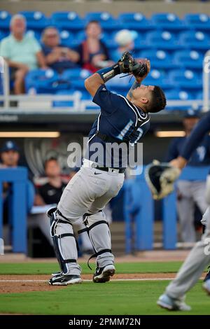 Tampa Tarpons Agustin Ramirez (10) bats during an MiLB Florida