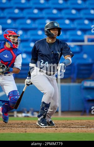 Tampa Tarpons outfielder Daury Arias (24) throwing during an MiLB Florida  State League baseball game against the Lakeland Flying Tigers on April 9,  2023 at George M. Steinbrenner Field in Tampa, Florida. (