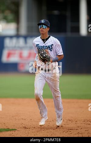 Tampa Tarpons outfielder Nelson Medina (3) during an MiLB Florida State  League baseball game against the Lakeland Flying Tigers on April 9, 2023 at  George M. Steinbrenner Field in Tampa, Florida. (Mike