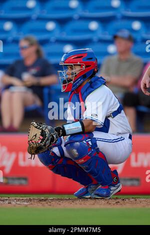 Dunedin Blue Jays Jaden Rudd (3) leads off during an MiLB Florida State  League baseball game against the Tampa Tarpons on April 13, 2023 at TD  Ballpark in Dunedin, Florida. (Mike Janes/Four