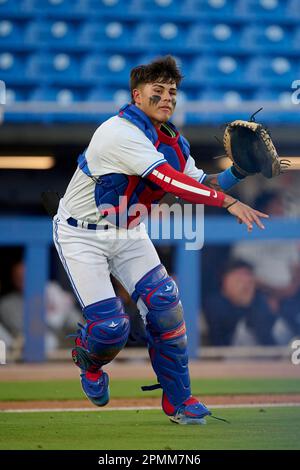 Dunedin Blue Jays mascot DJ before an MiLB Florida State League baseball  game against the Tampa Tarpons on April 13, 2023 at TD Ballpark in Dunedin,  Florida. (Mike Janes/Four Seam Images via