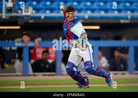 Dunedin Blue Jays mascot DJ before an MiLB Florida State League baseball  game against the Tampa Tarpons on April 13, 2023 at TD Ballpark in Dunedin,  Florida. (Mike Janes/Four Seam Images via