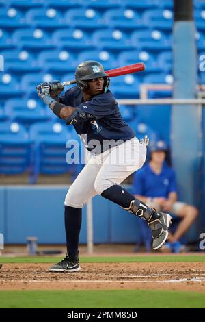 Tampa Tarpons Felix Negueis (29) bats during an MiLB Florida State League  baseball game against the Lakeland Flying Tigers on April 9, 2023 at George  M. Steinbrenner Field in Tampa, Florida. (Mike