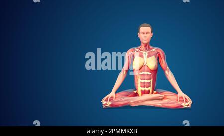 Meditating man in siddhasana yoga meditation Vector Image