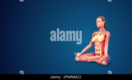 3d human svastikasana or auspicious yoga pose on blue background 2pmmm22