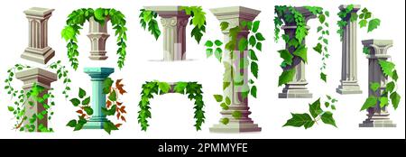 set vector illustration of antic arch with green leaves and plant isolate on white Stock Vector