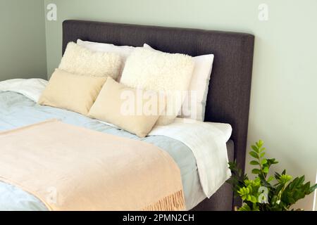 bed with pillows at bedroom. modern interior with homeplants and stylish beige pillows Stock Photo