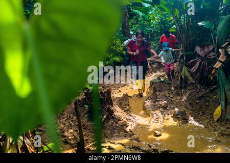 An Ecuadorian migrant, accompanying her daughter, walks through a muddy trail in the dangerous jungle of the Darién Gap between Colombia and Panamá. Stock Photo