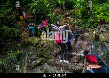 Migrants from Ecuador climb up a rocky trail in the wild and dangerous jungle of the Darién Gap between Colombia and Panamá. Stock Photo