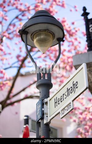Bonn, Germany. 14th Apr, 2023. Heerstrasse is written on a street sign on a lamppost. The famous cherry blossom in the northern part of the city has begun. The spectacle attracts thousands of onlookers and photo hunters every year. In the narrow streets of the old town, the branches of the blossoming trees form a pink roof. Credit: Thomas Banneyer/dpa/Alamy Live News Stock Photo
