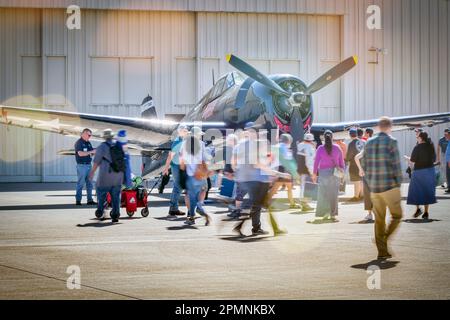 Fans gather around a Grumman F-4F Wildcat on display at the 2023 Thunder and Lightning Over Arizona in Tucson, Arizona. Stock Photo