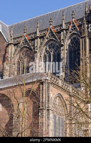 02 April 2023, Utrecht, Netherlands, St. Martin's Cathedral, Utrecht, or Dom Church, is a Gothic church dedicated to Saint Martin of Tours Stock Photo