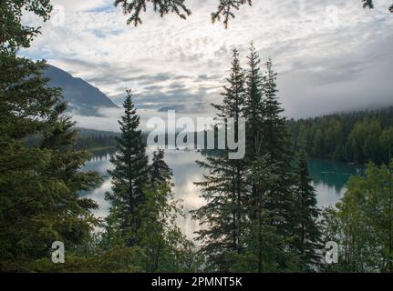 The early morning air is filled with dew and mist as fishing begins on the Upper Kenai River; Kenai Peninsula, Alaska, United States of America Stock Photo