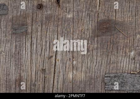 Rotten cracked wood surface with rusty nails and chipped bark. Abstract background with copy space. Stock Photo