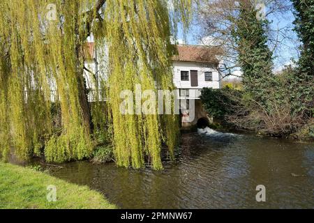 Loddon Mill, pictured from the Staithe, Norfolk, UK Stock Photo