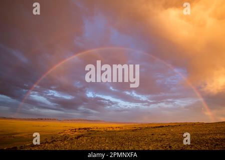 Rainbow following the rain on the plains of the Gobi Desert; Gobi Desert, Mongolia Stock Photo