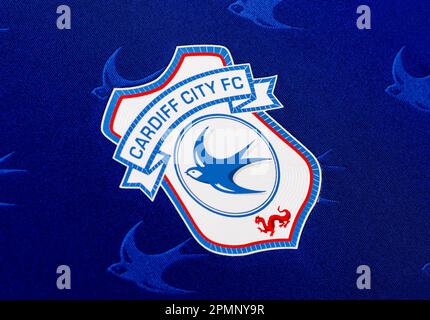 Cardiff City Football Forum  Cardiff City FC Messageboard • View topic - '  A quick knock up of a New City Badge 