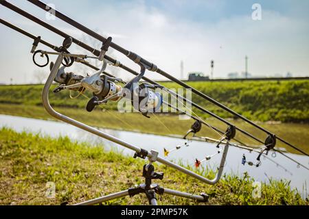 A set of fishing rods and equipment for carp fishing leaning on a