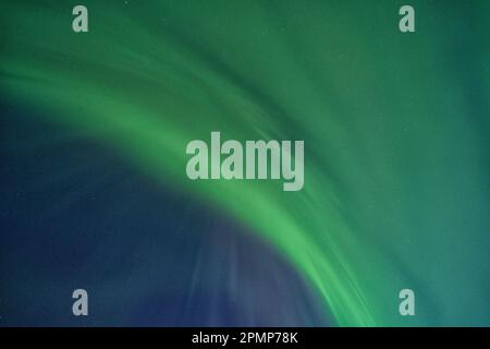 Aurora Borealis or northern lights glow green in the skies over Churchill; Churchill, Manitoba, Canada Stock Photo
