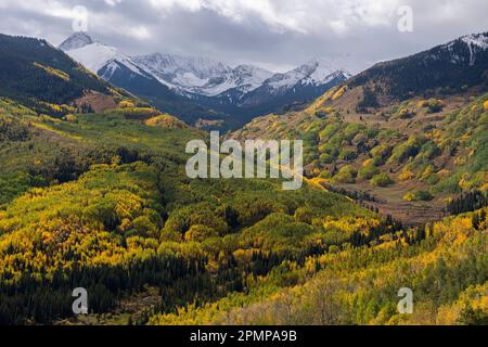 Autumn takes hold of the Colorado landscape. Aspen trees are golden and snow accumulates on the mountain peaks; Colorado, United States of America Stock Photo