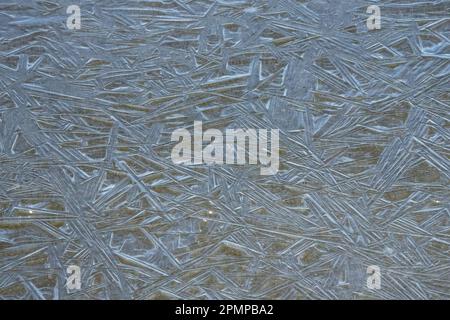 Beautiful patterns on the ice surface of a small puddle; Churchill, Manitoba, Canada Stock Photo