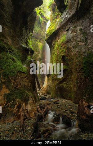 Hidden waterfall flowing over mossy rock cliffs on Sombrio Beach, Vancouver Island, BC, Canada; Port Renfrew, British Columbia, Canada Stock Photo