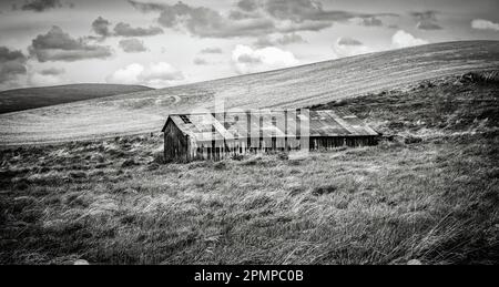 Black and white image of a spooky old abandoned barn under threatening weather clouds in Eastern Washington, USA Stock Photo