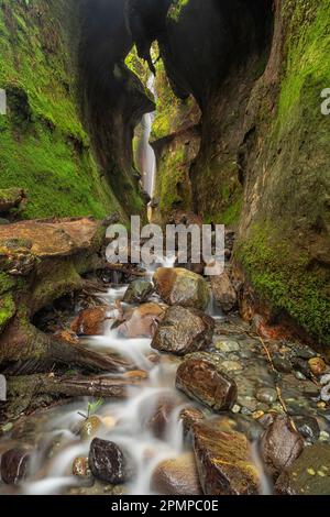 Hidden waterfall flowing over mossy rock cliffs on Sombrio Beach, Vancouver Island, BC, Canada; Port Renfrew, British Columbia, Canada Stock Photo