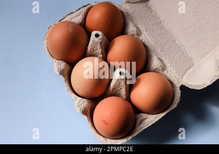 Plan view of six large brown farm eggs on blue background in an environmentally friendly carboard pulp egg box. Copy space. Stock Photo