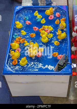 Fishing Rubber Ducks in Pool Amusement Park Game Stock Photo - Alamy