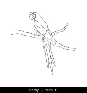 Cute cartoon macaw parrot sitting on a branch. Isolated vector illustration in linear style. Simple clipart. Design element. Tropical life and travel Stock Vector