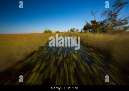 Wake of a safari airboat ride in Everglades National Park, Florida, USA; Florida, United States of America Stock Photo